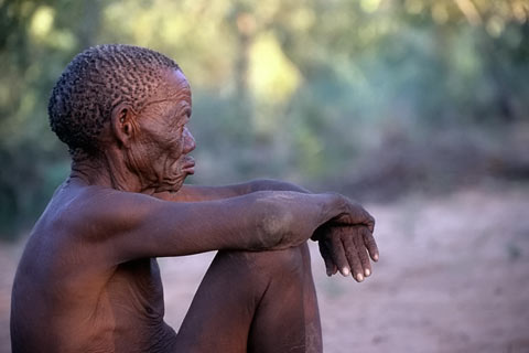 Bushmen, Kalahari